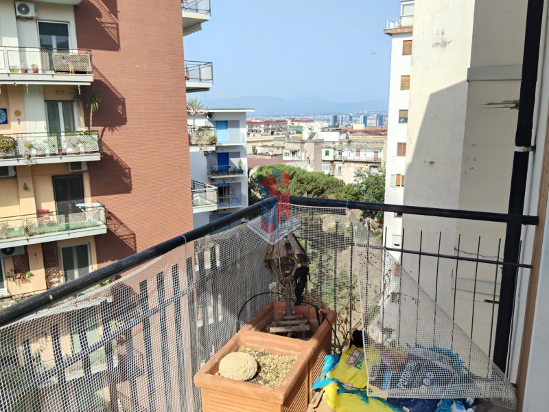Foto annuncio 30
