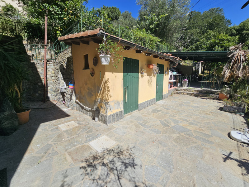 Foto annuncio 19