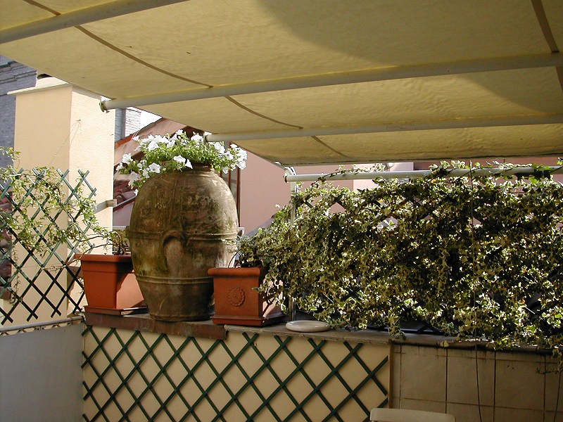 Foto annuncio 13