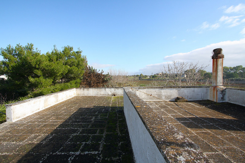 Foto annuncio 4