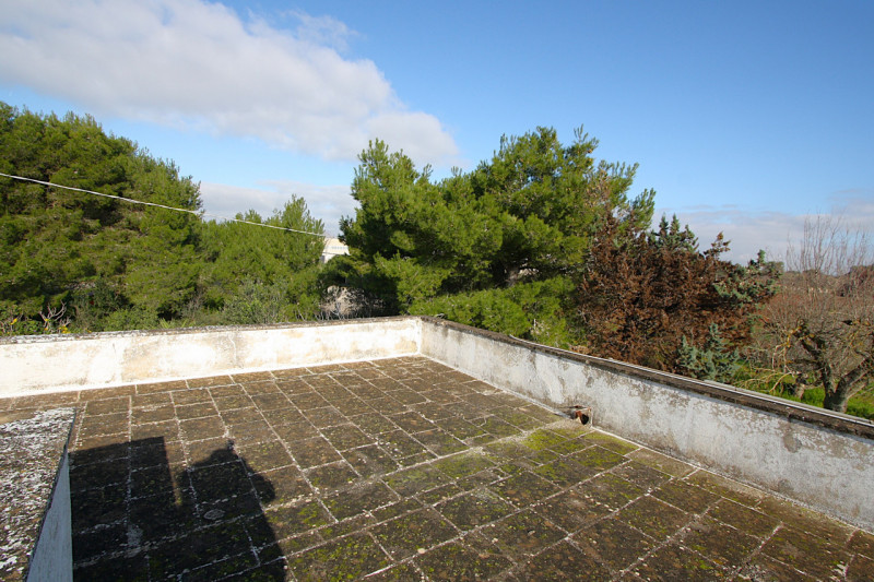 Foto annuncio 6