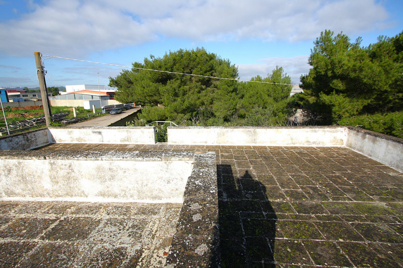 Foto annuncio 7