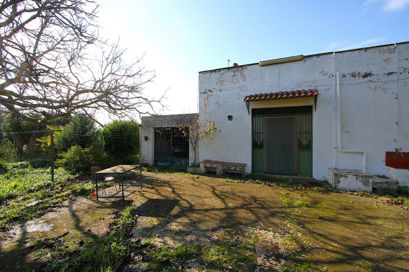 Foto annuncio 8