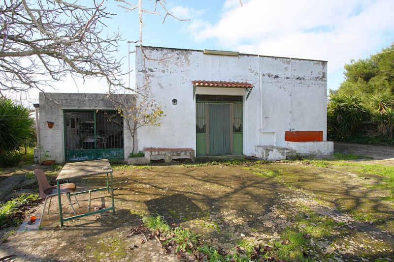 Foto annuncio 10