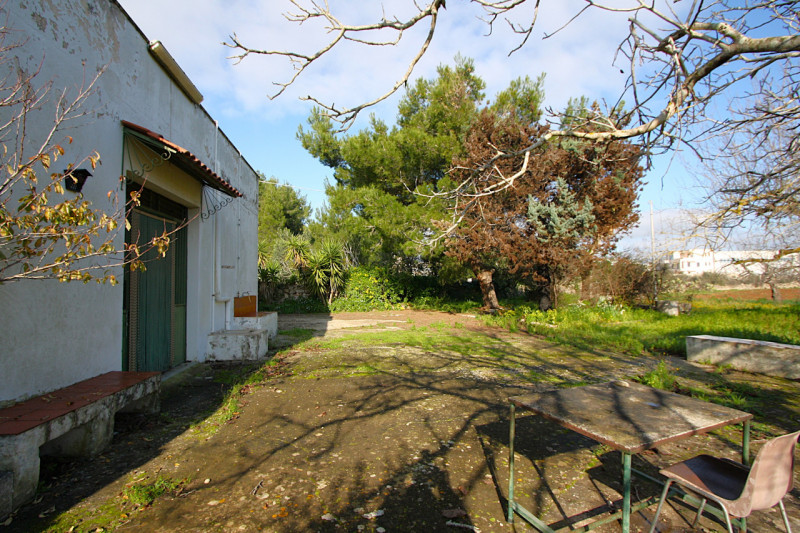 Foto annuncio 13
