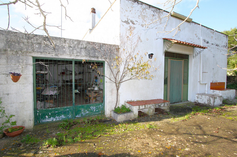 Foto annuncio 14