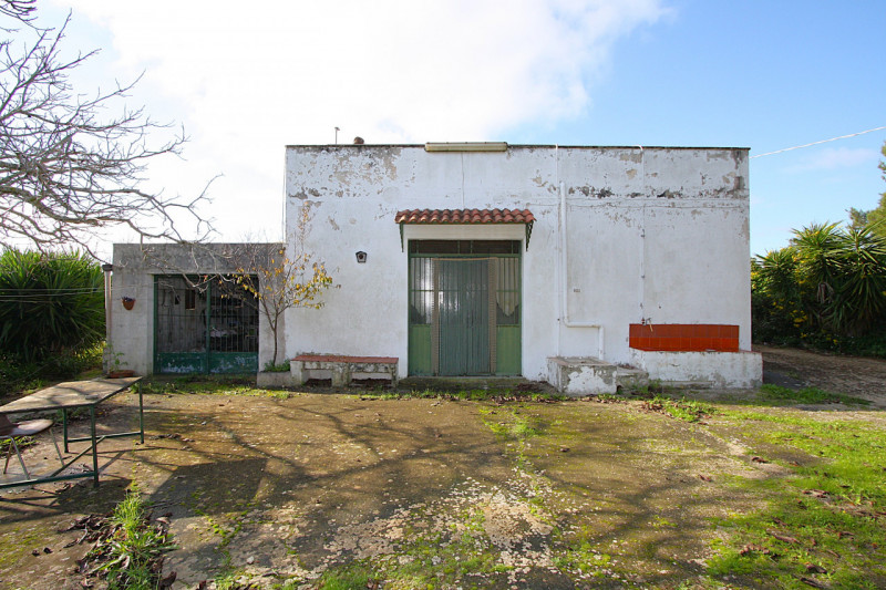 Foto annuncio 15