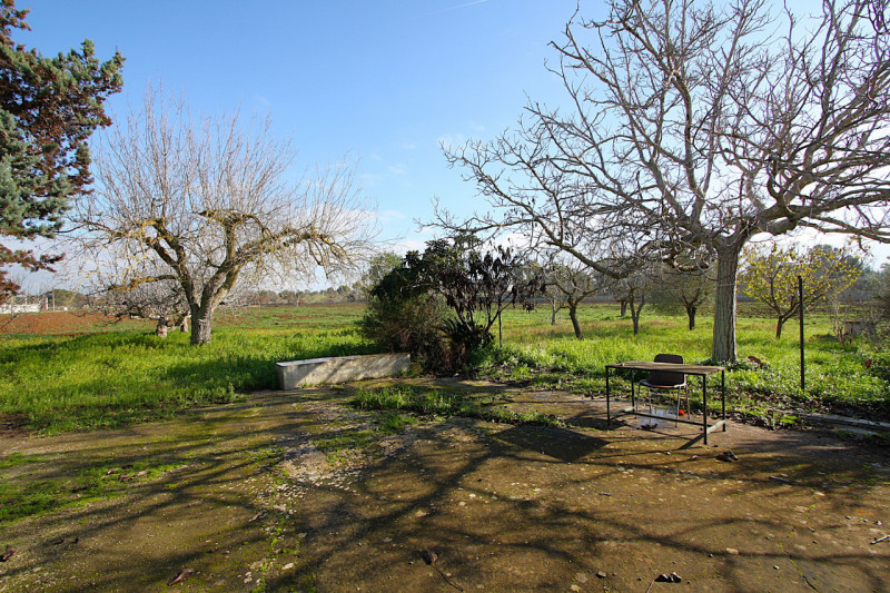 Foto annuncio 19