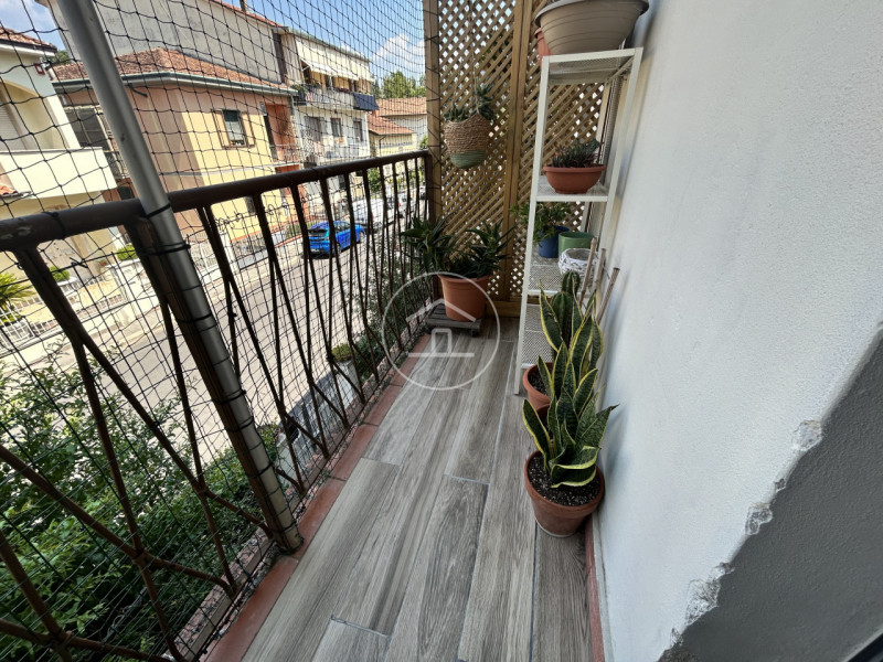 Foto annuncio 30