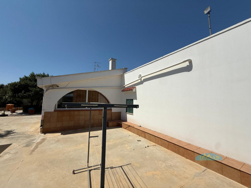 Foto annuncio 2