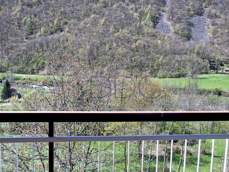 Foto annuncio 6