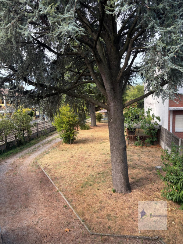 Foto annuncio 5