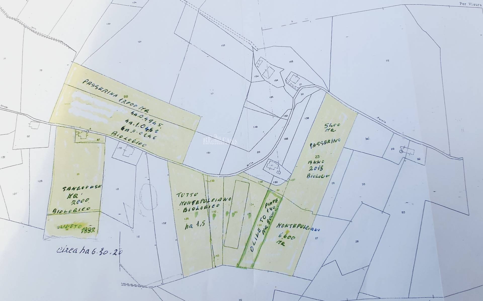 Immagine 29 di Terreno agricolo in vendita  in CONTRADA FOROLA a Acquaviva Picena