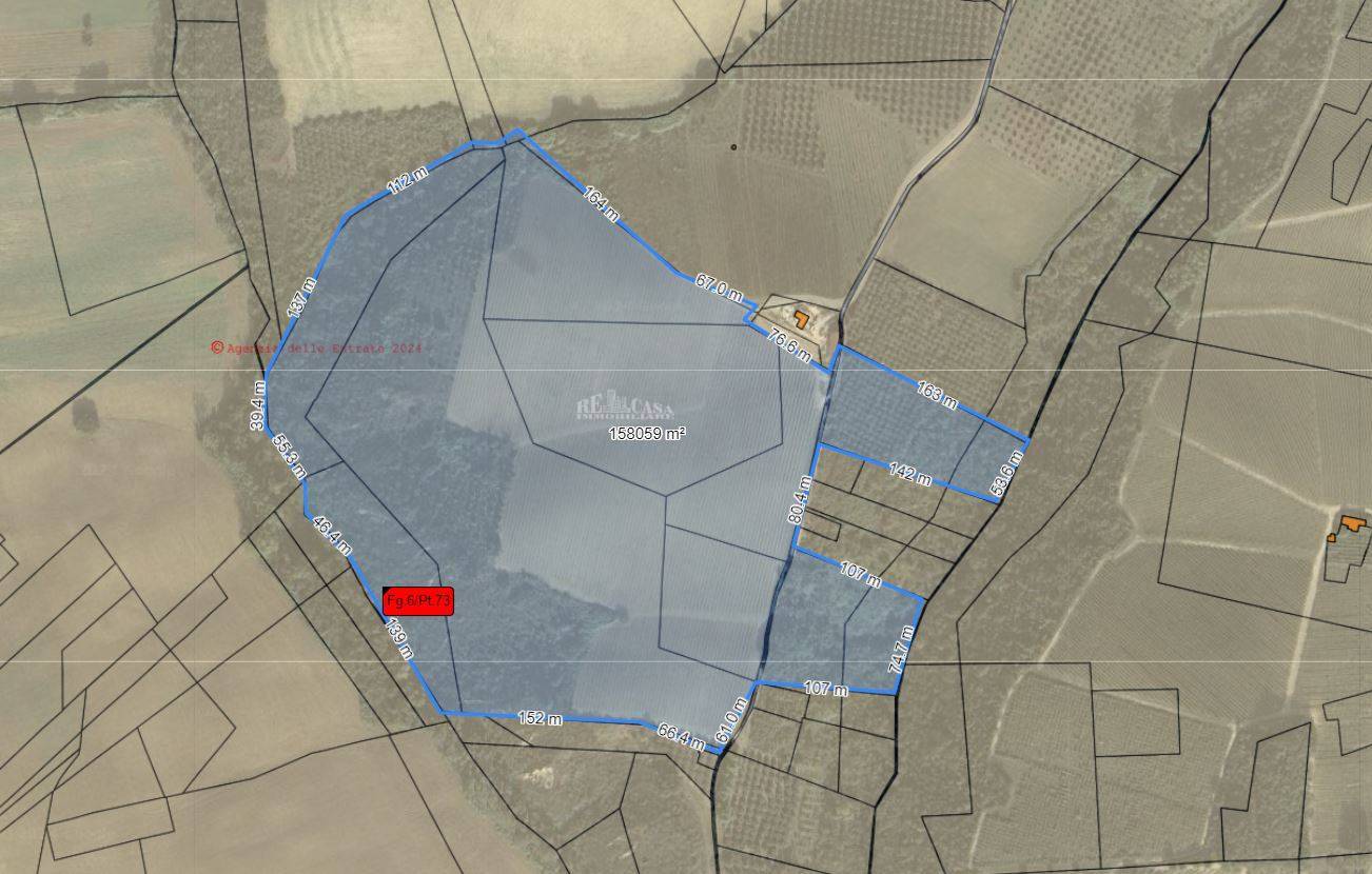 Immagine 7 di Terreno agricolo in vendita  in VIA COLLE NAVICCHIO snc a Monteprandone