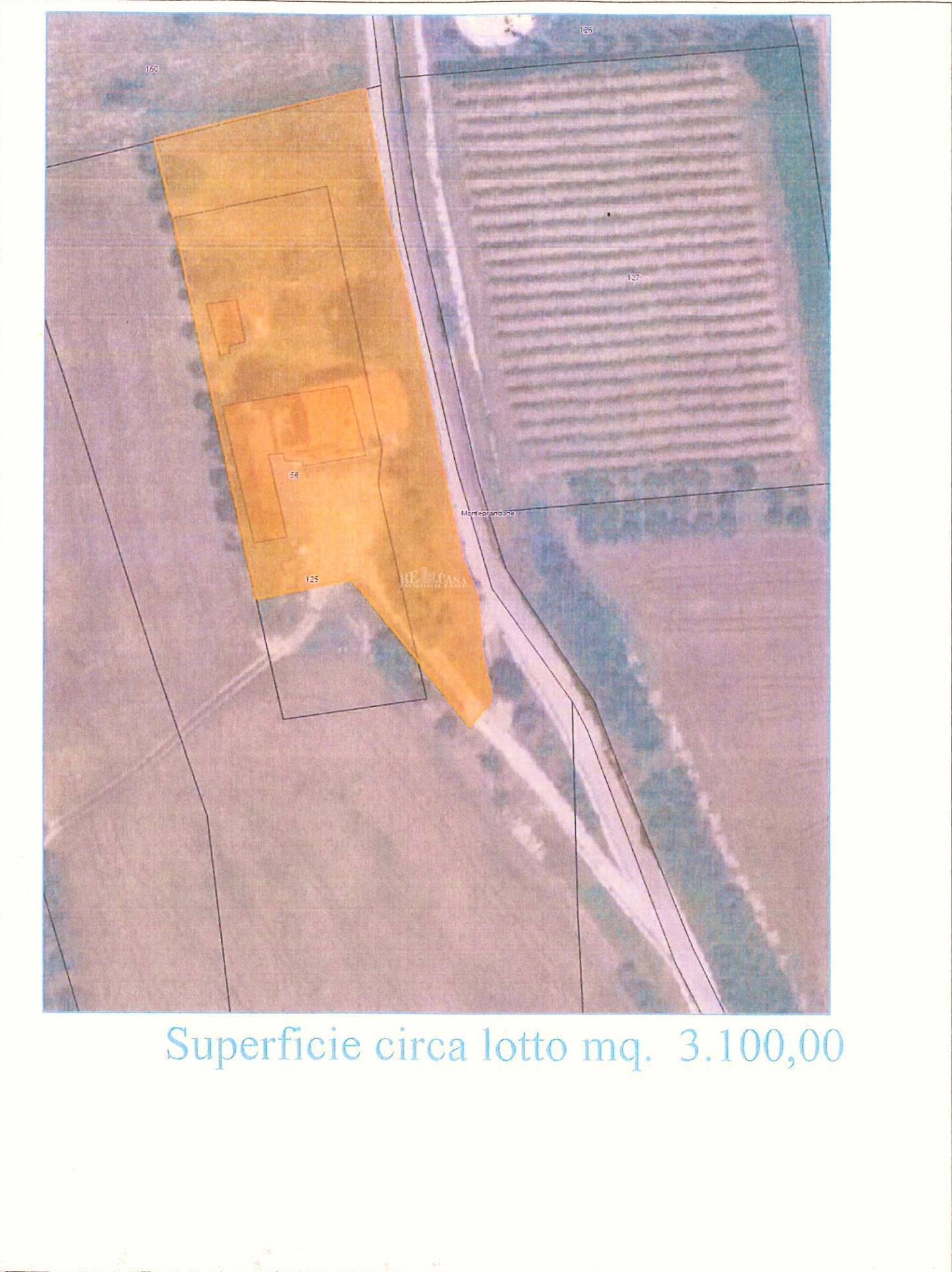 Immagine 57 di Rustico / casale in vendita  in contrada spiagge snc a Monteprandone