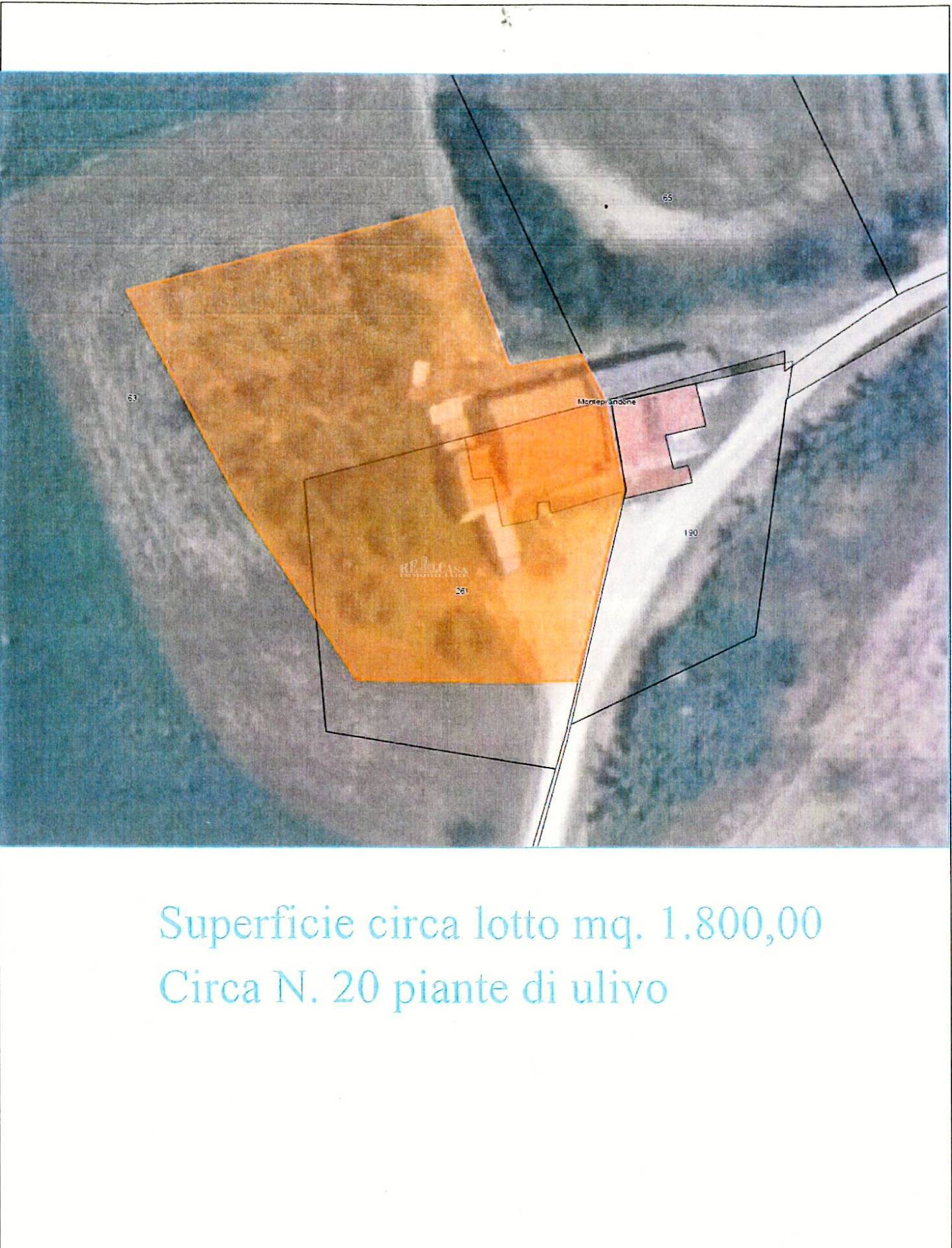 Immagine 40 di Rustico / casale in vendita  in contrada spiagge 23 a Monteprandone