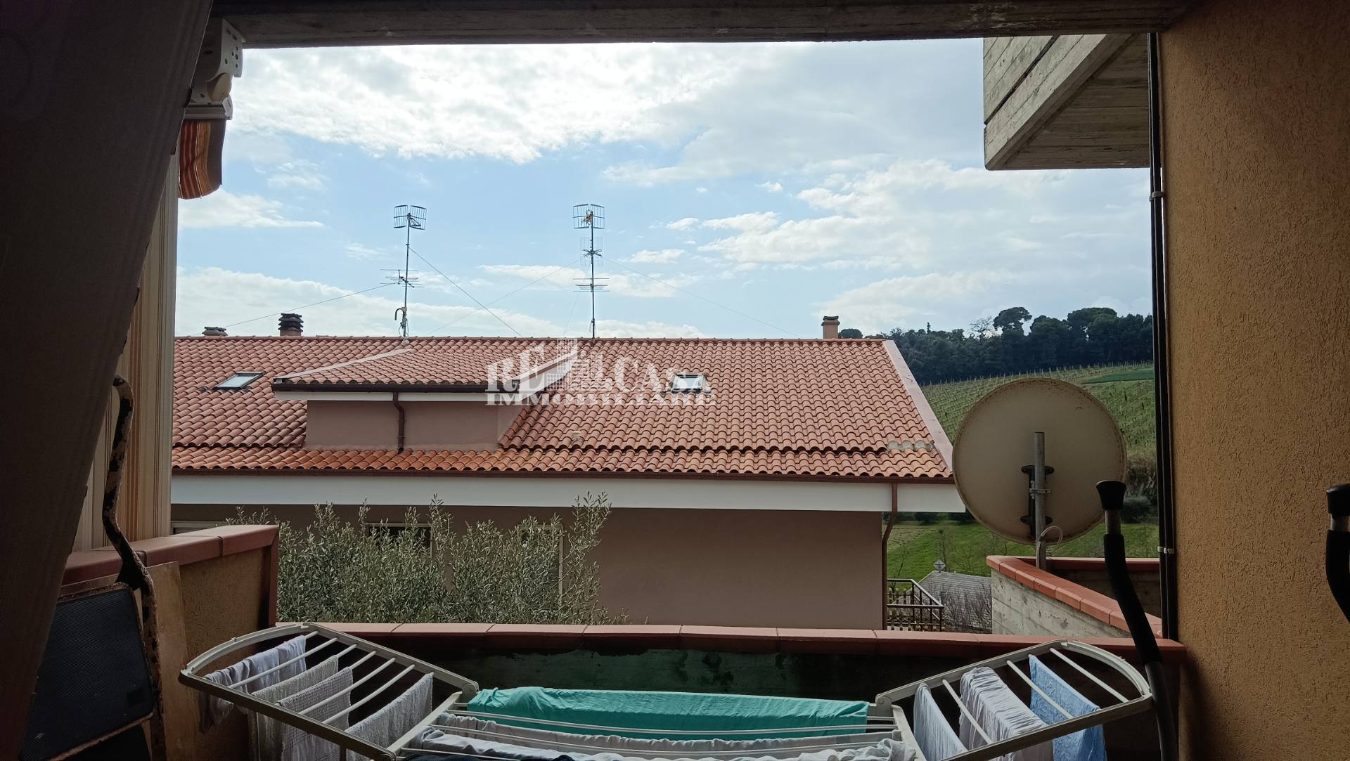 Foto annuncio 14