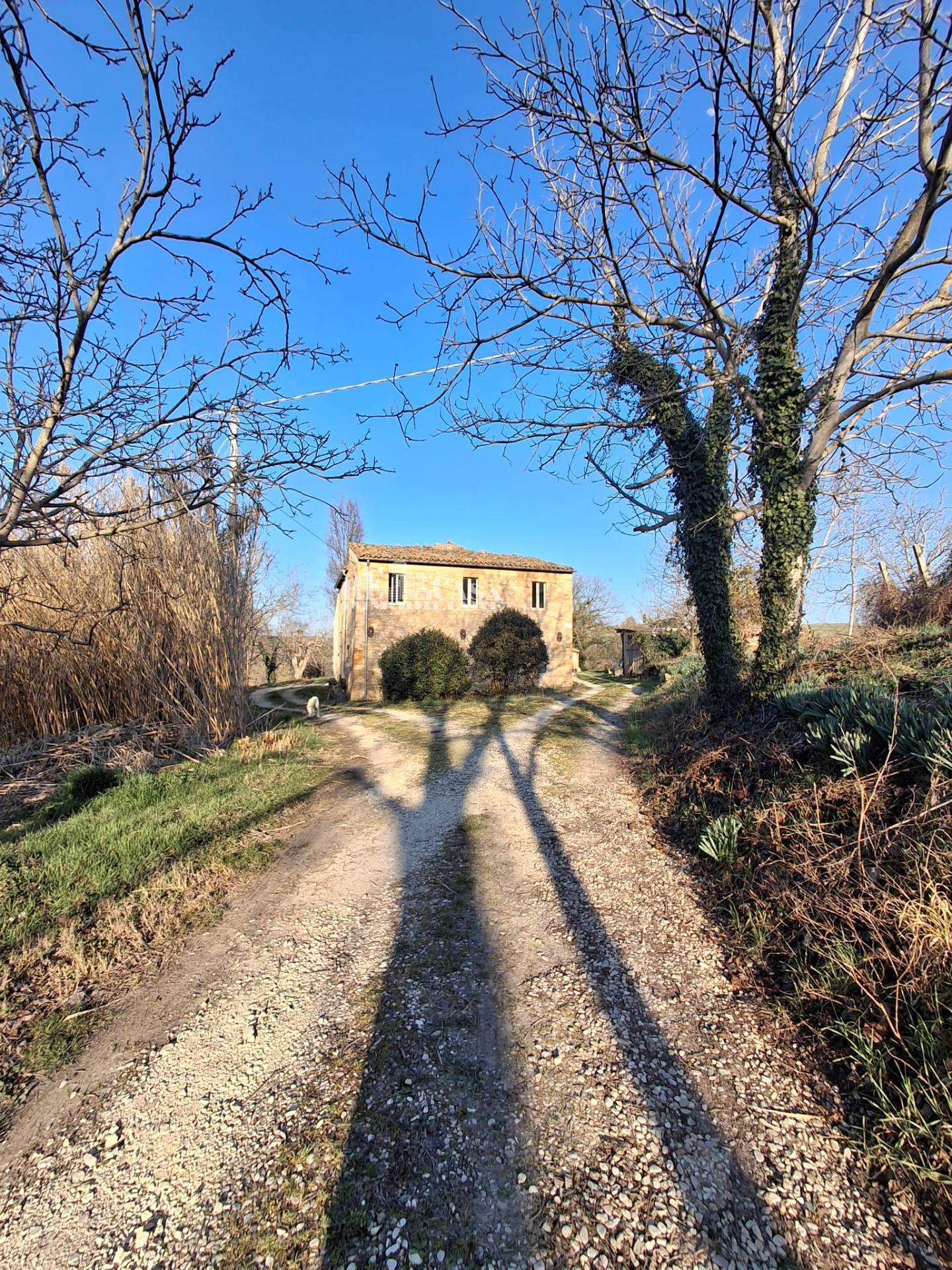 Foto annuncio 9
