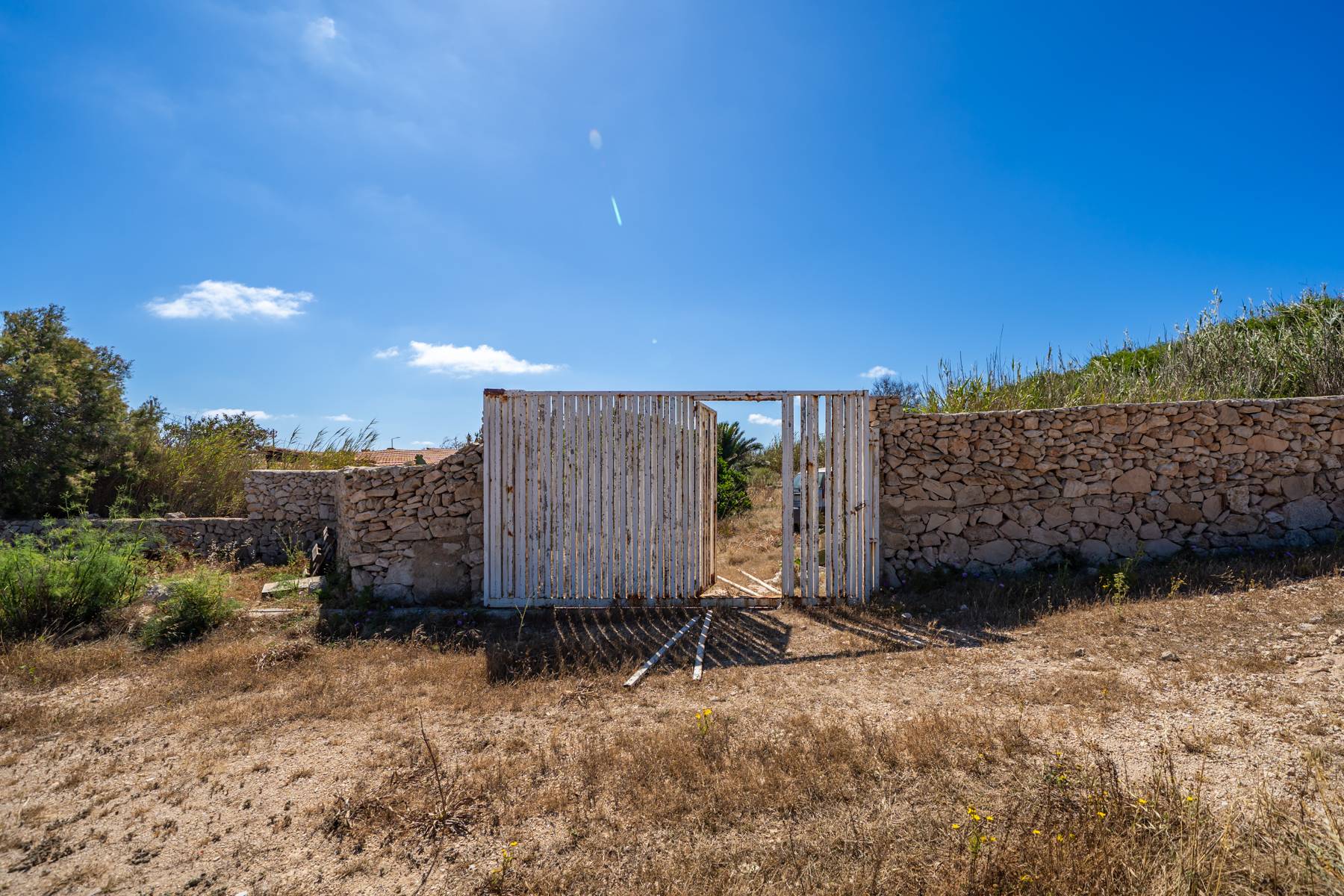 Foto annuncio 6