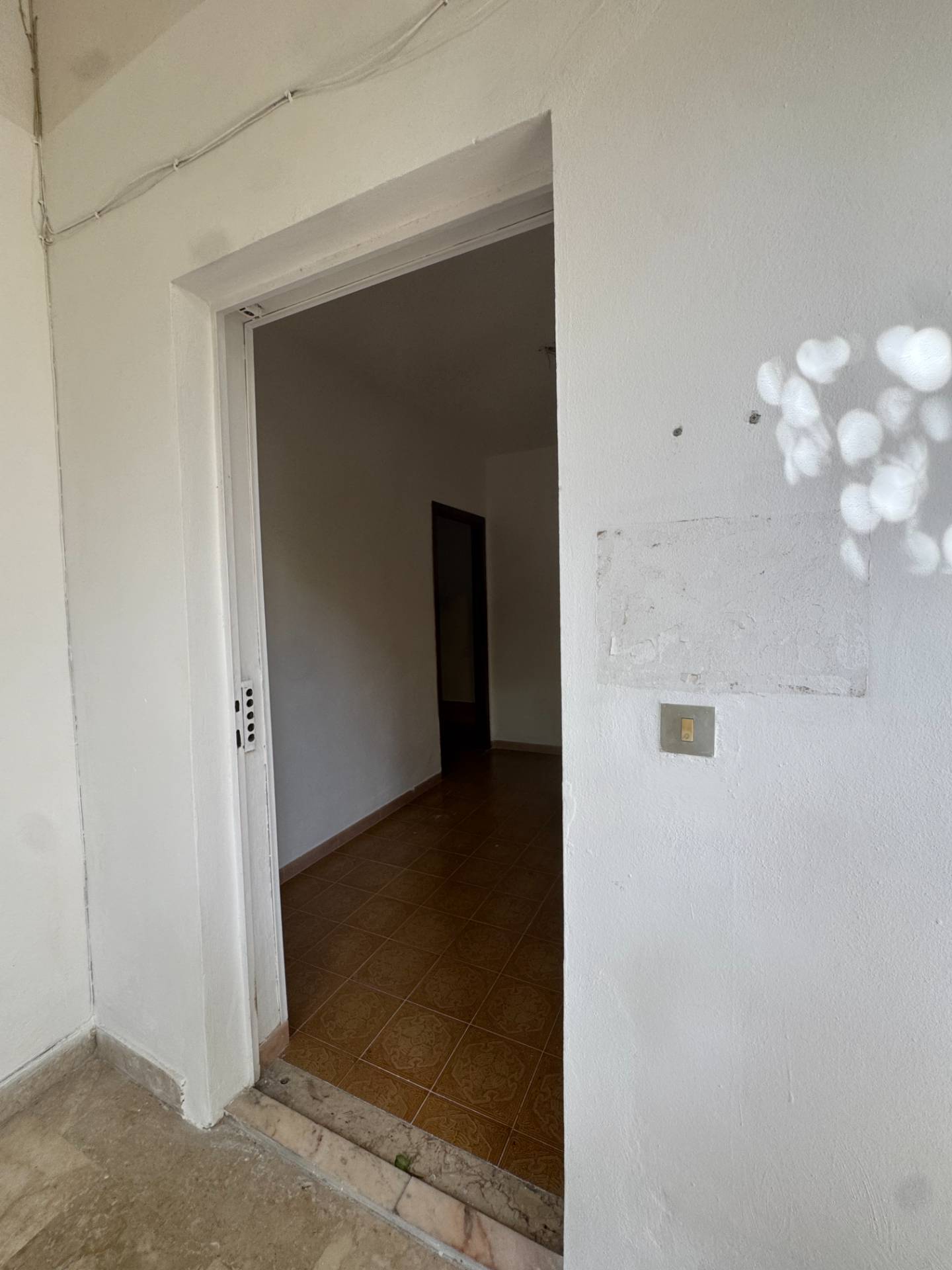 Foto annuncio 18
