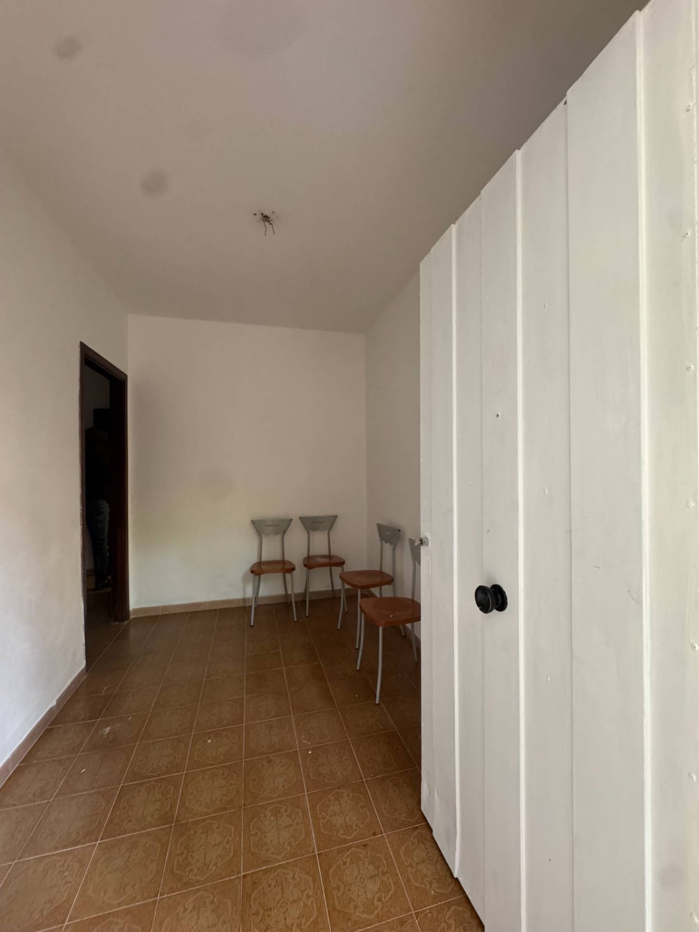 Foto annuncio 19