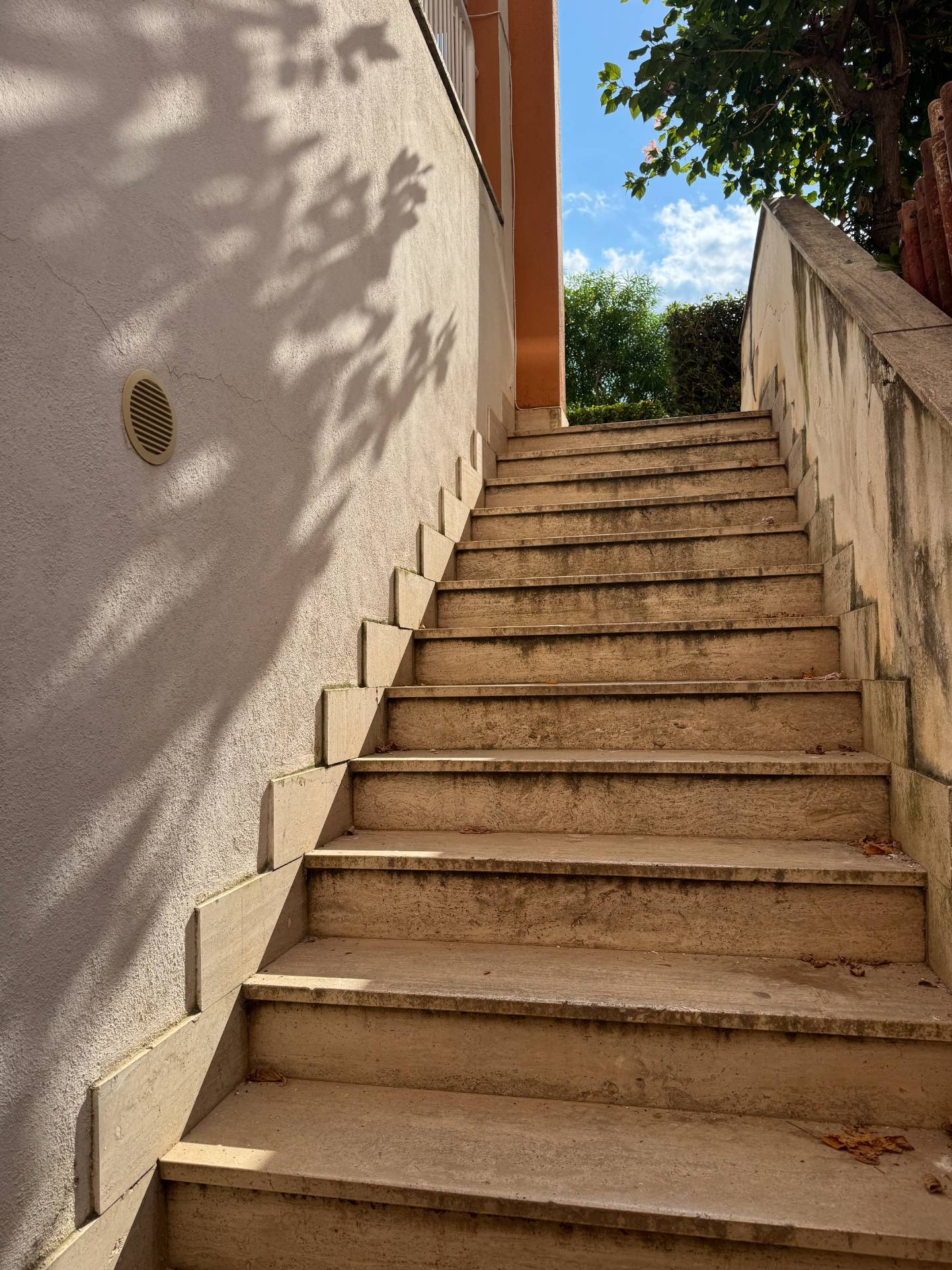 Foto annuncio 35