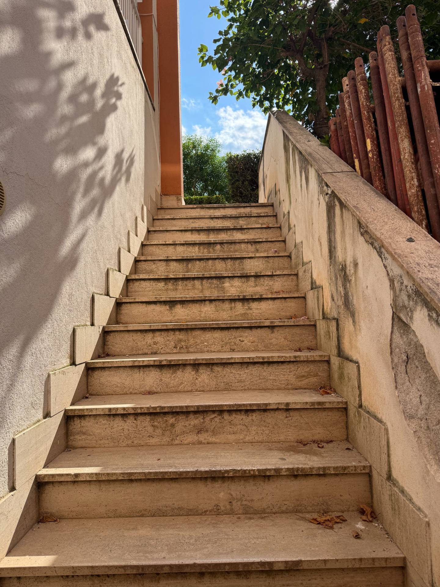 Foto annuncio 36
