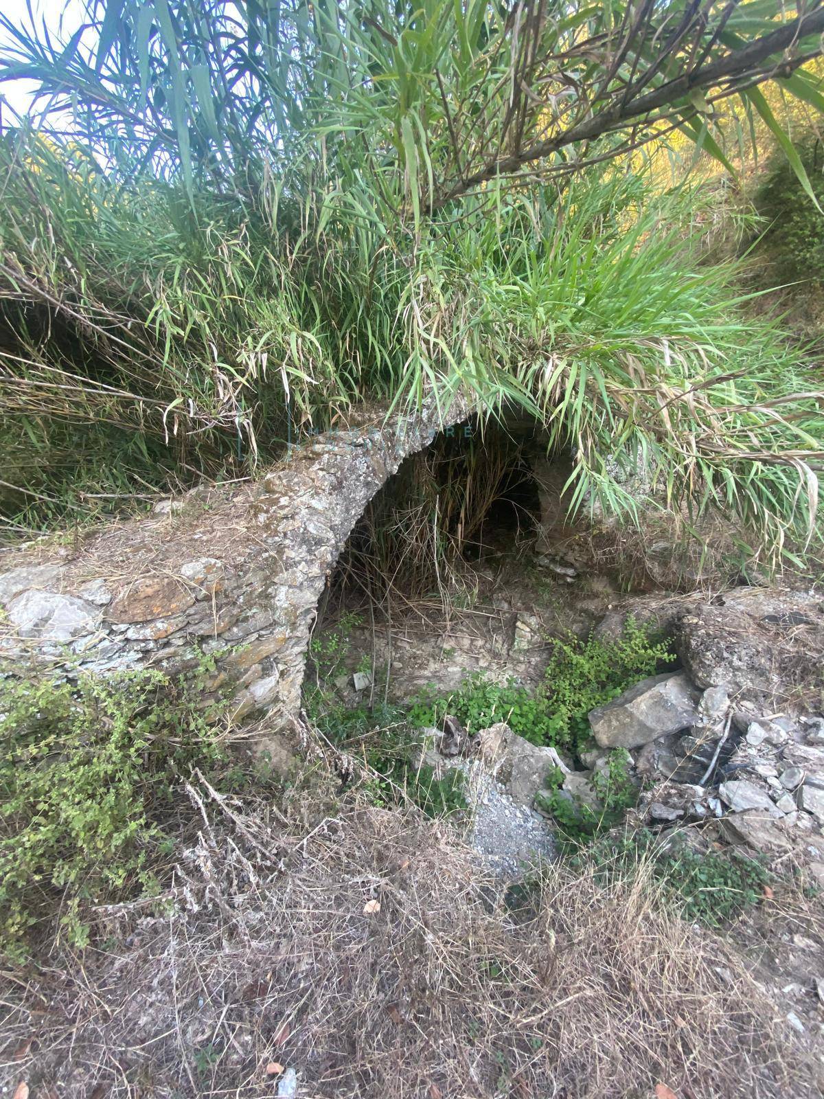 Immagine 4 di Terreno agricolo in vendita  in San Fedele a Albenga