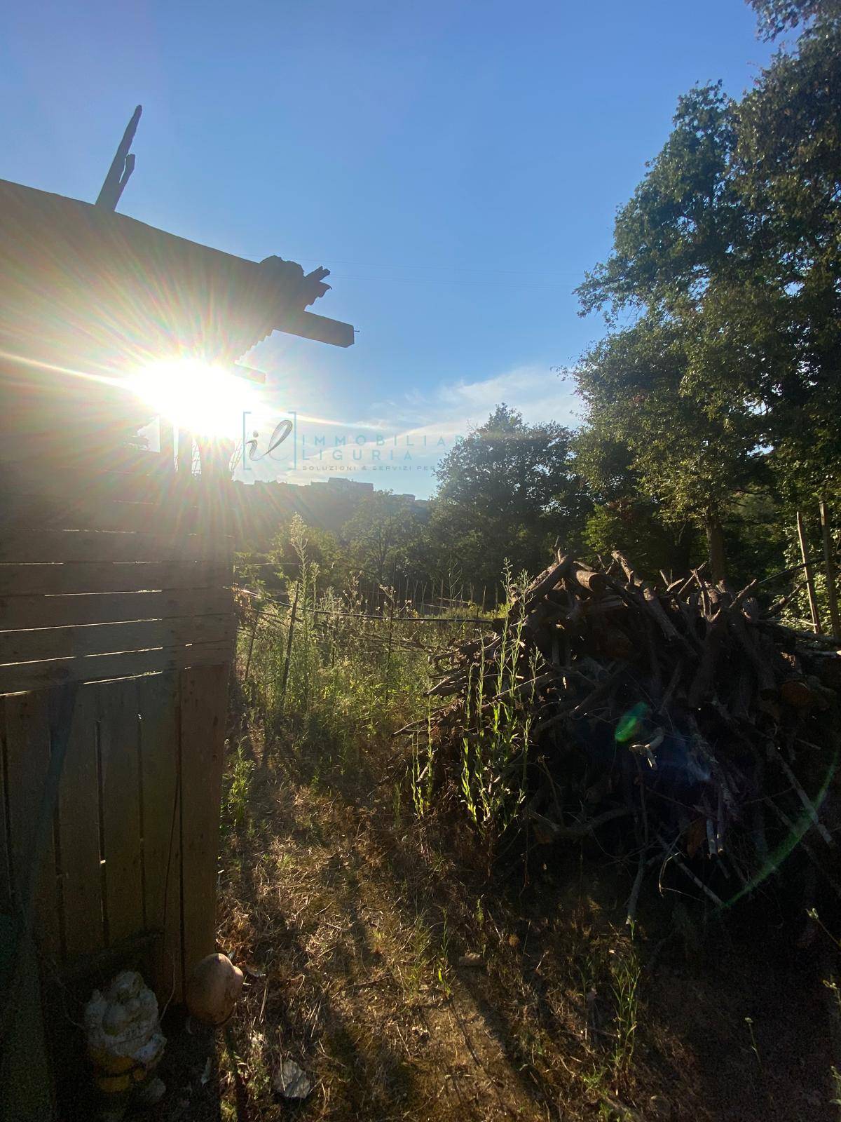 Immagine 5 di Terreno agricolo in vendita  in San Fedele a Albenga