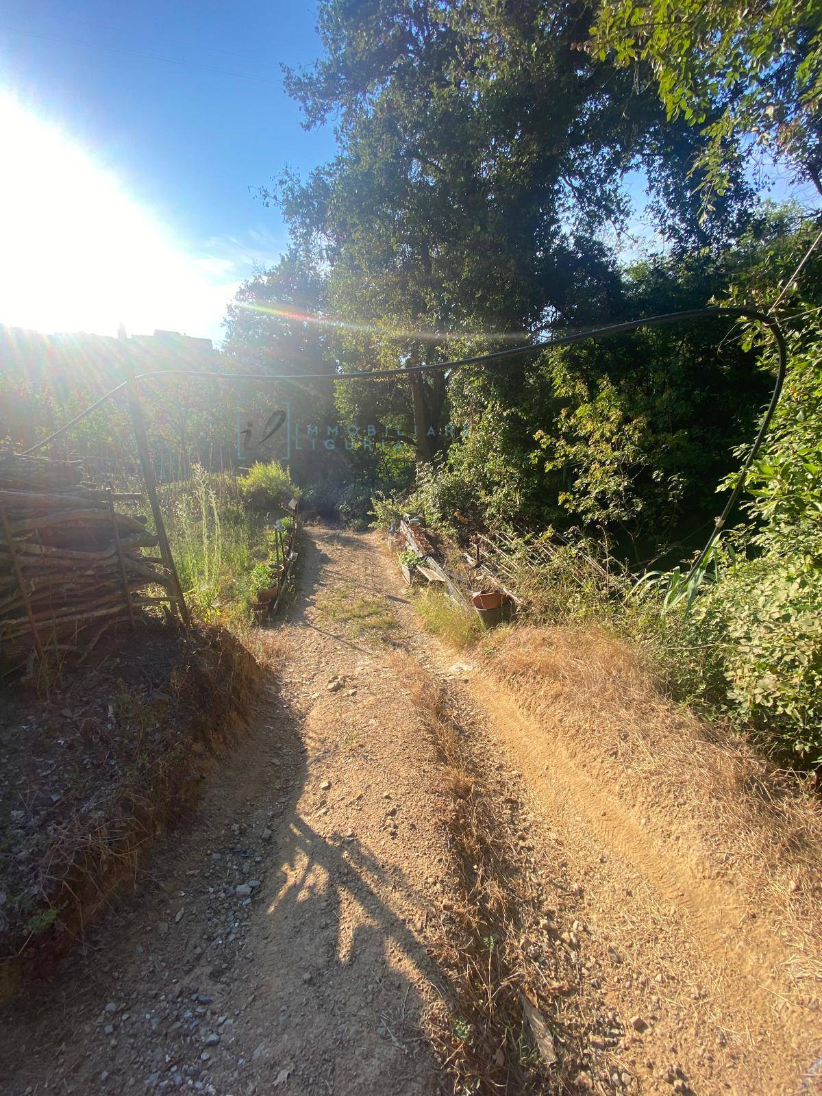 Immagine 8 di Terreno agricolo in vendita  in San Fedele a Albenga