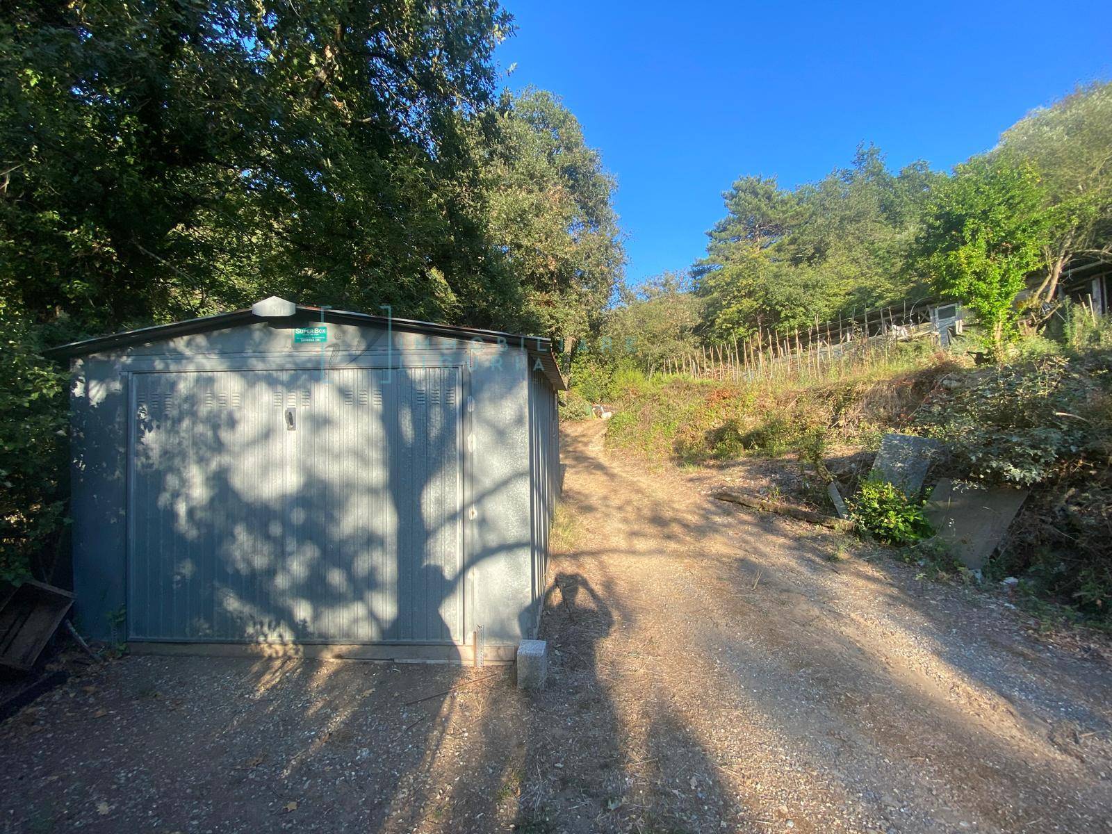 Immagine 9 di Terreno agricolo in vendita  in San Fedele a Albenga