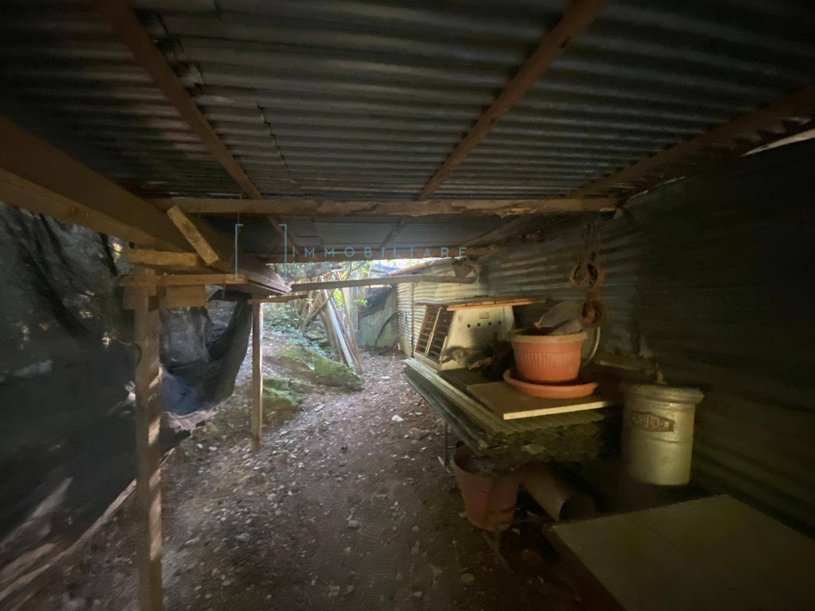 Immagine 11 di Terreno agricolo in vendita  in San Fedele a Albenga