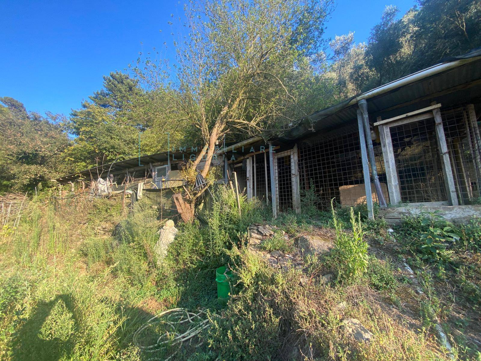 Immagine 12 di Terreno agricolo in vendita  in San Fedele a Albenga