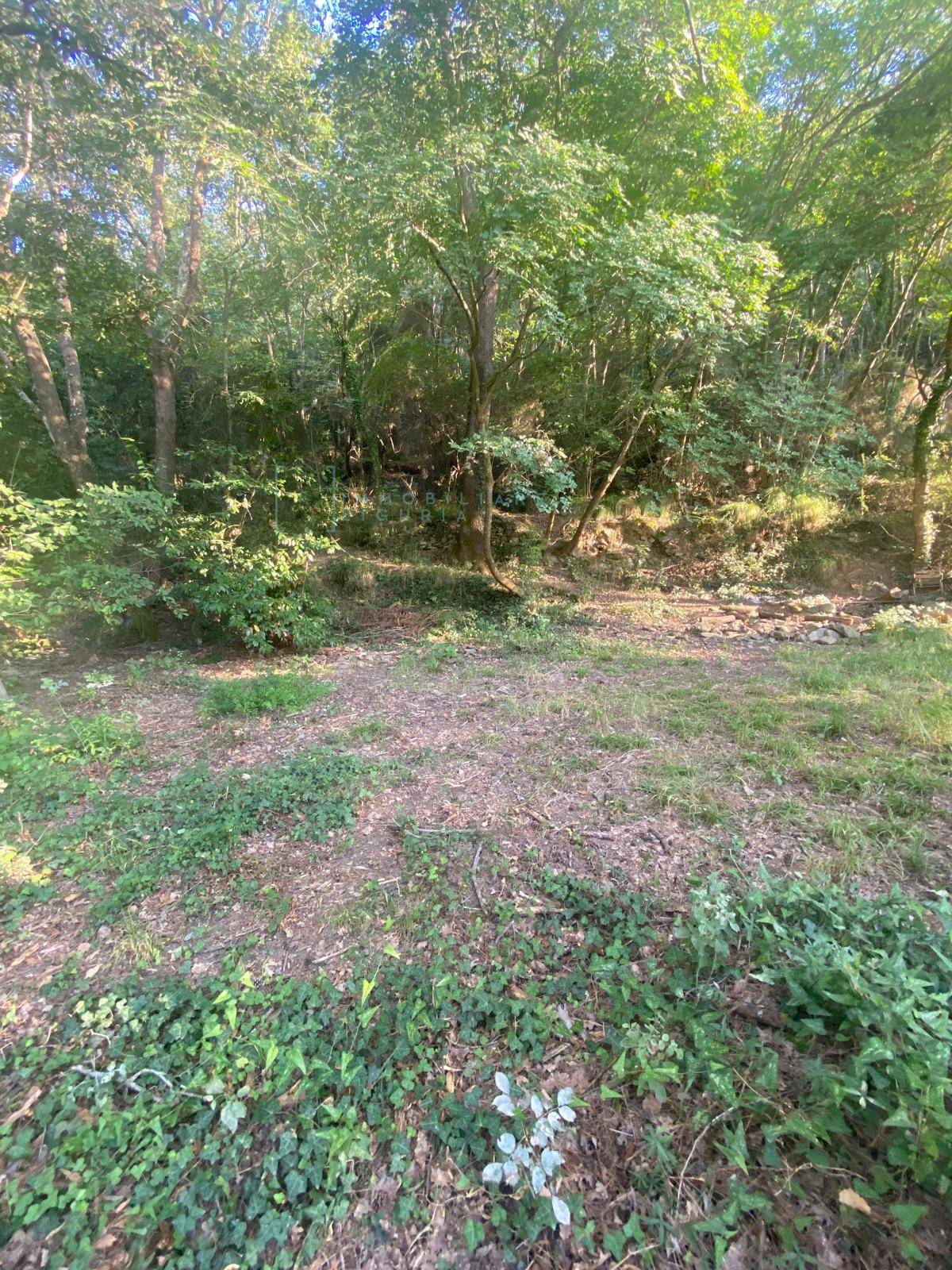 Immagine 14 di Terreno agricolo in vendita  in San Fedele a Albenga