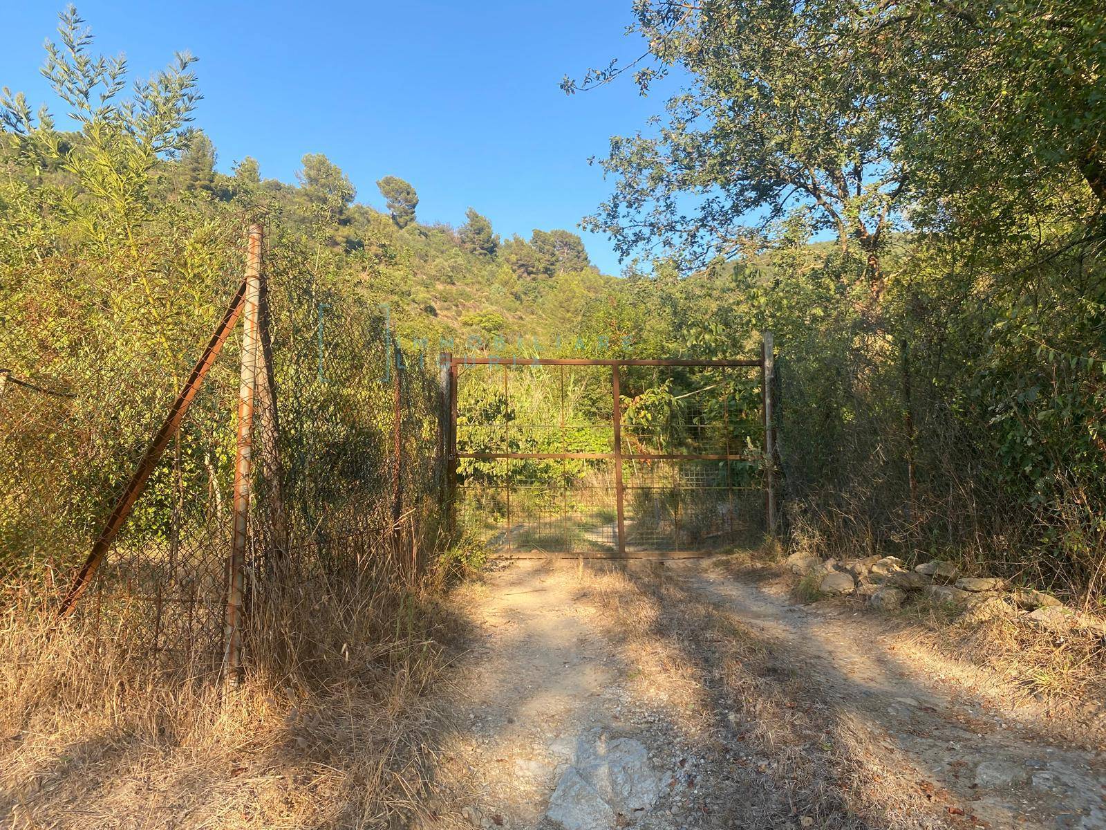 Immagine 15 di Terreno agricolo in vendita  in San Fedele a Albenga