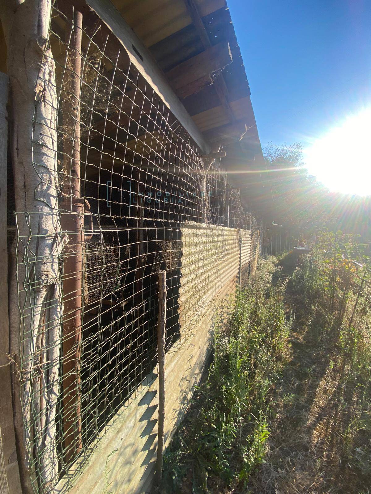 Immagine 16 di Terreno agricolo in vendita  in San Fedele a Albenga