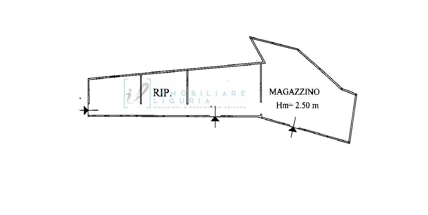Immagine 44 di Terreno agricolo in vendita  in San Fedele a Albenga