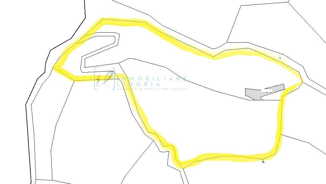 Immagine 45 di Terreno agricolo in vendita  in San Fedele a Albenga