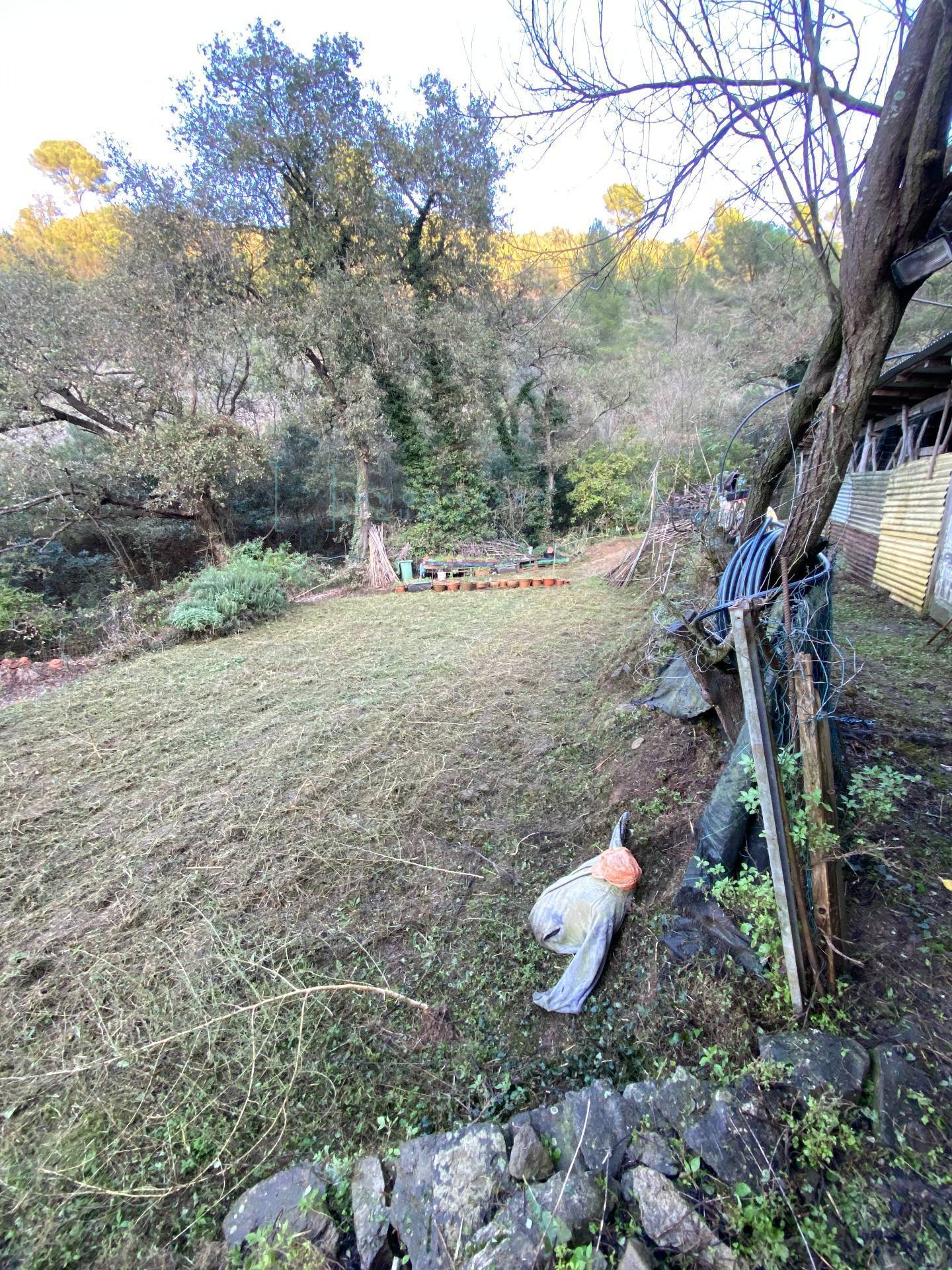 Immagine 17 di Terreno agricolo in vendita  in San Fedele a Albenga