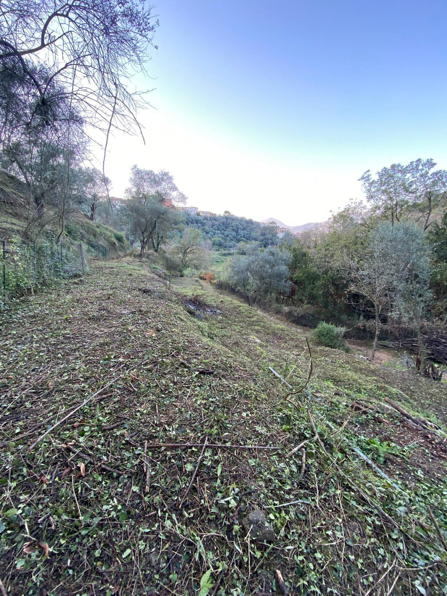 Immagine 19 di Terreno agricolo in vendita  in San Fedele a Albenga