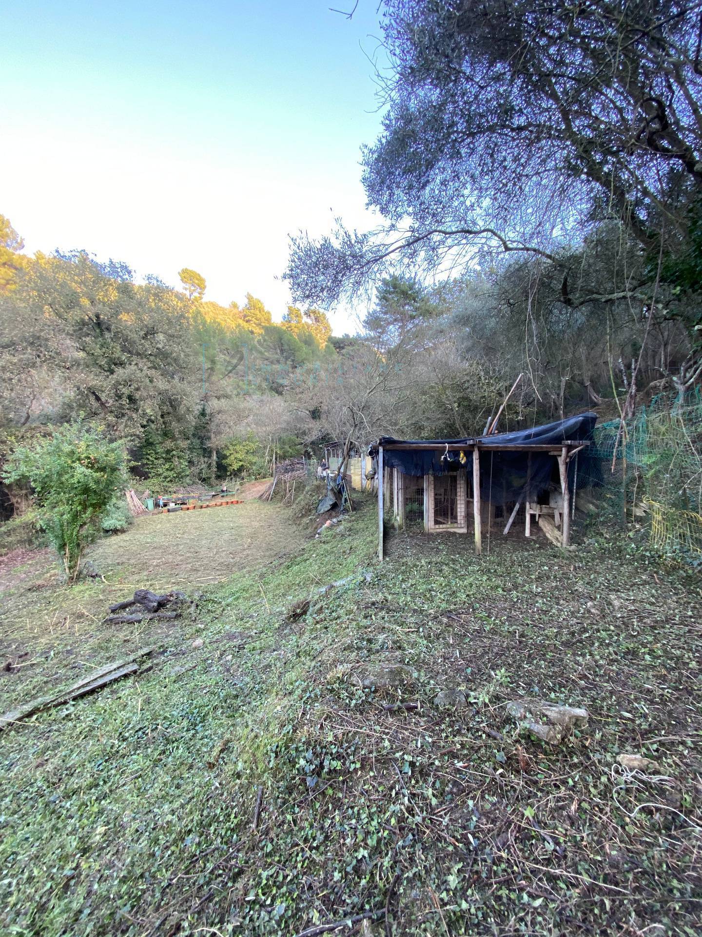 Immagine 20 di Terreno agricolo in vendita  in San Fedele a Albenga