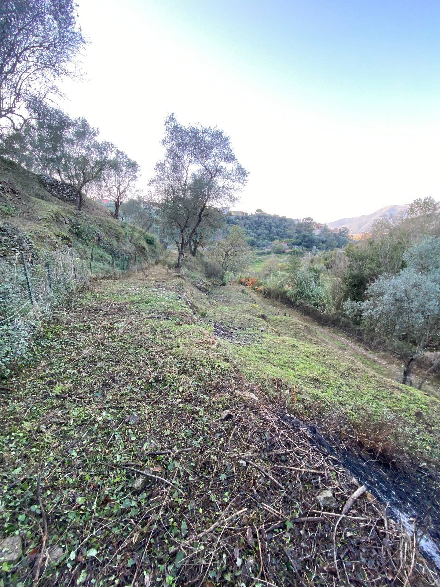 Immagine 21 di Terreno agricolo in vendita  in San Fedele a Albenga
