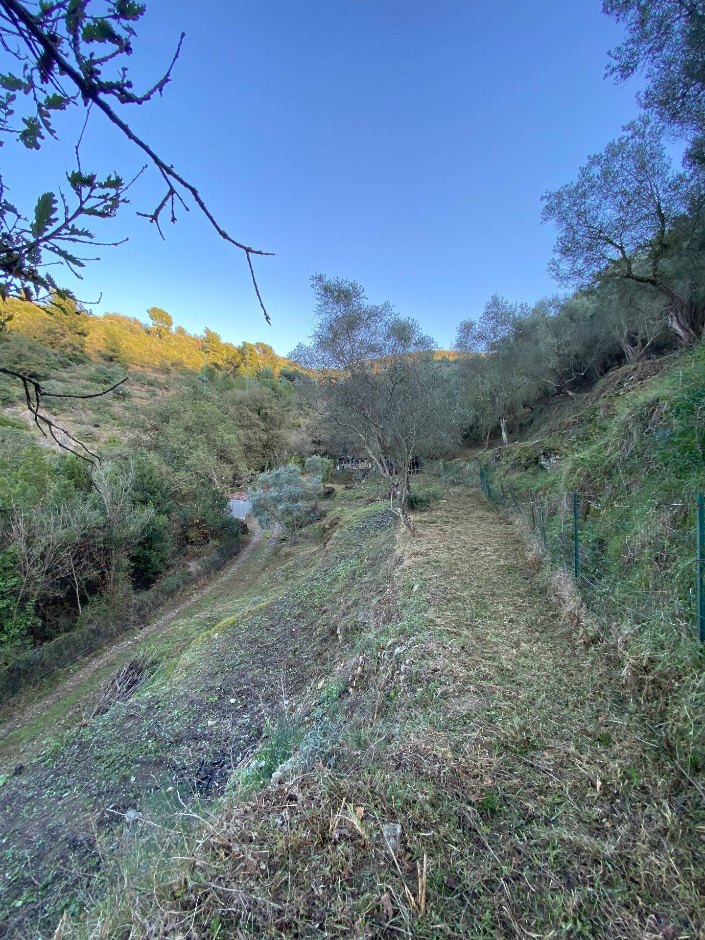 Immagine 24 di Terreno agricolo in vendita  in San Fedele a Albenga
