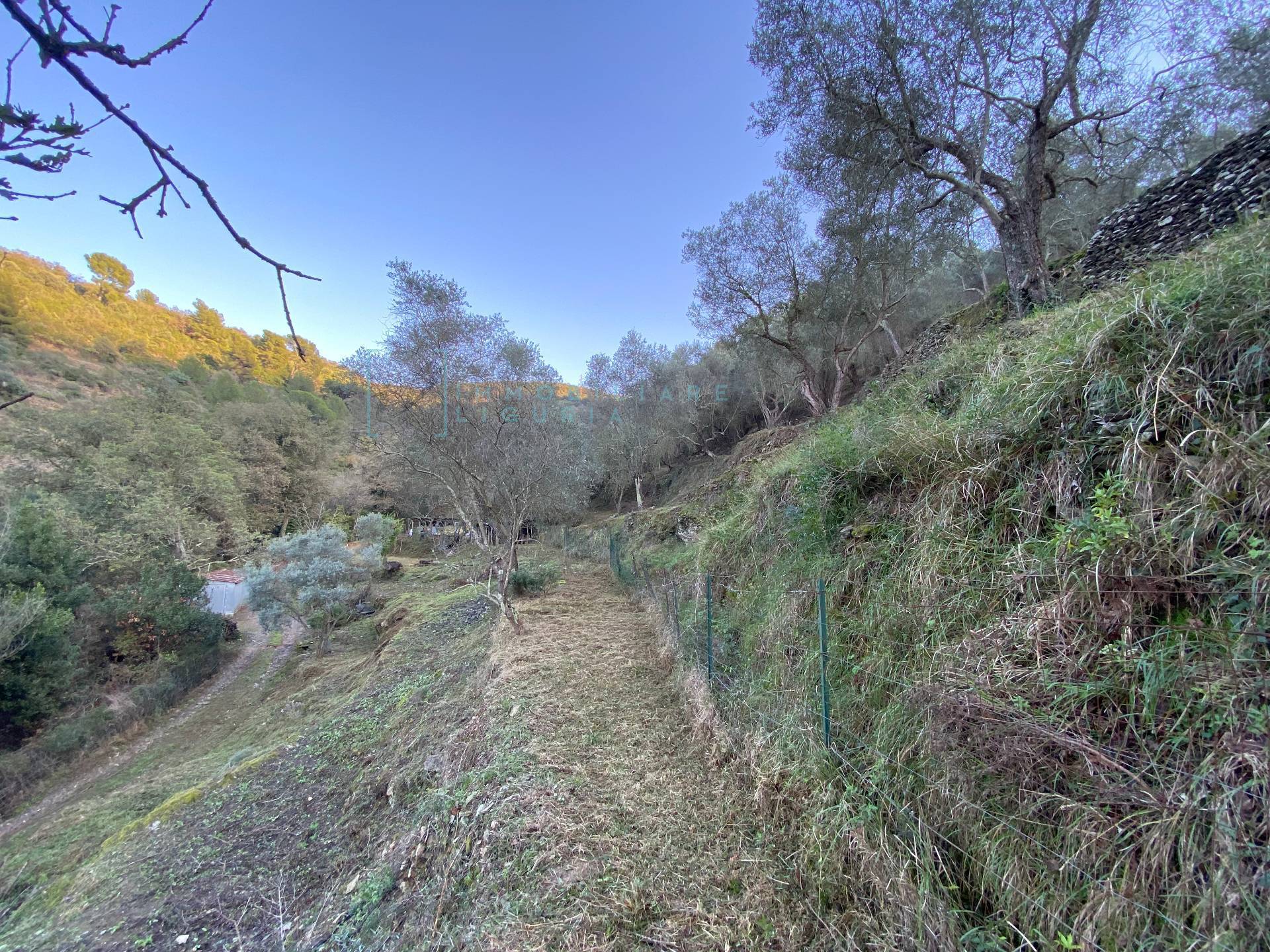 Immagine 26 di Terreno agricolo in vendita  in San Fedele a Albenga
