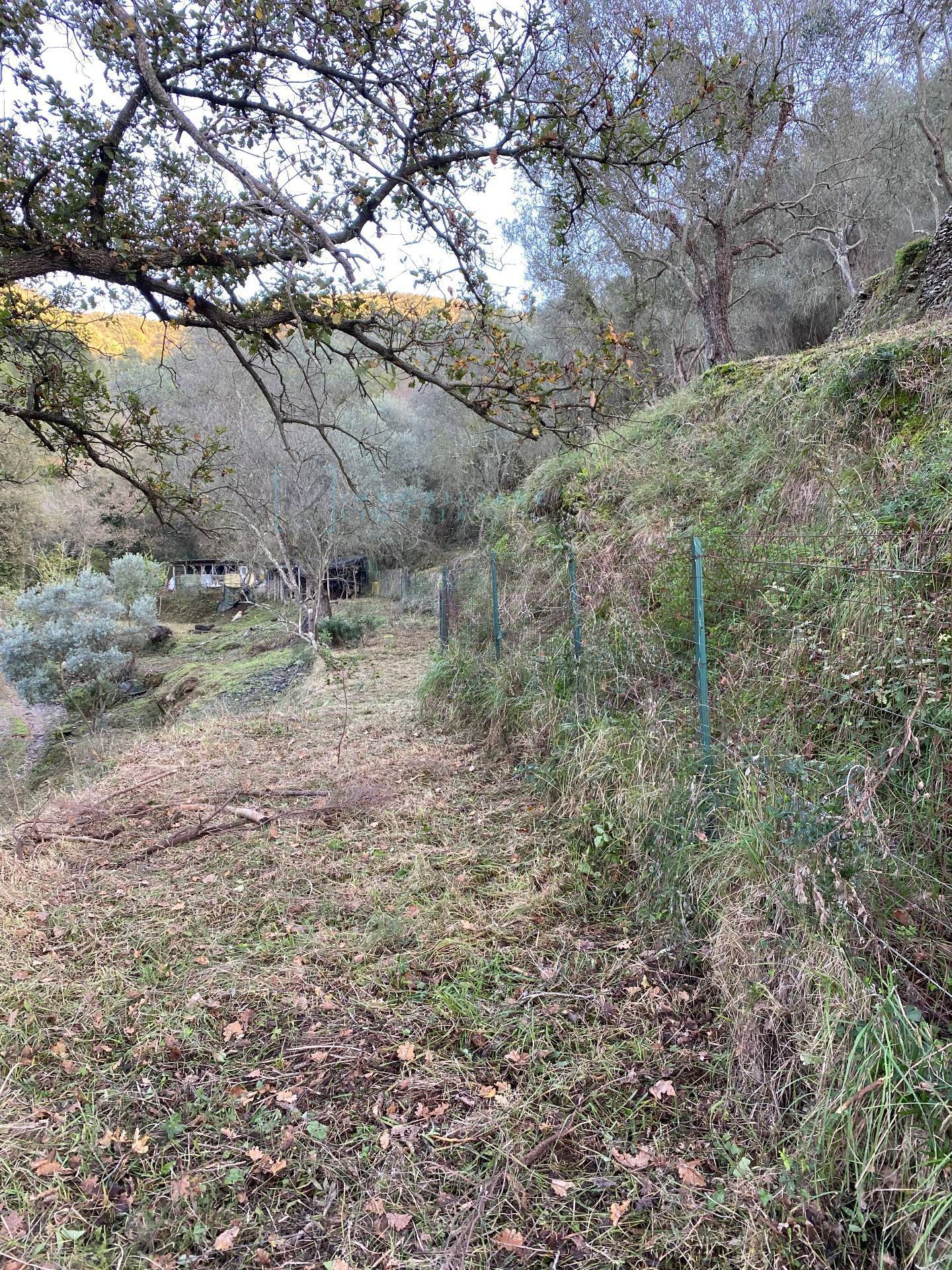 Immagine 28 di Terreno agricolo in vendita  in San Fedele a Albenga