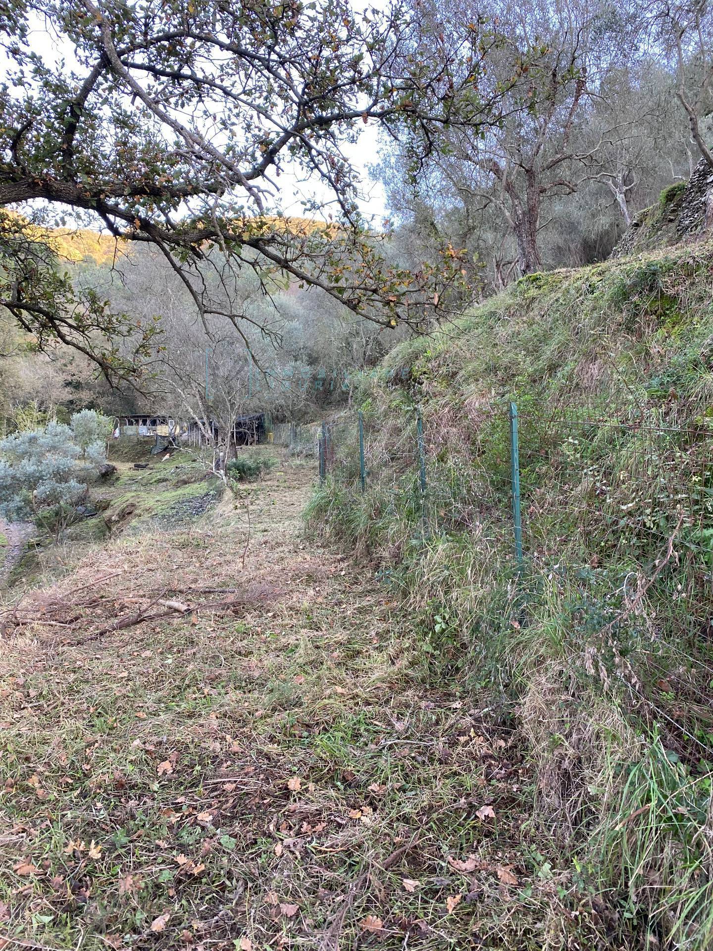 Immagine 29 di Terreno agricolo in vendita  in San Fedele a Albenga