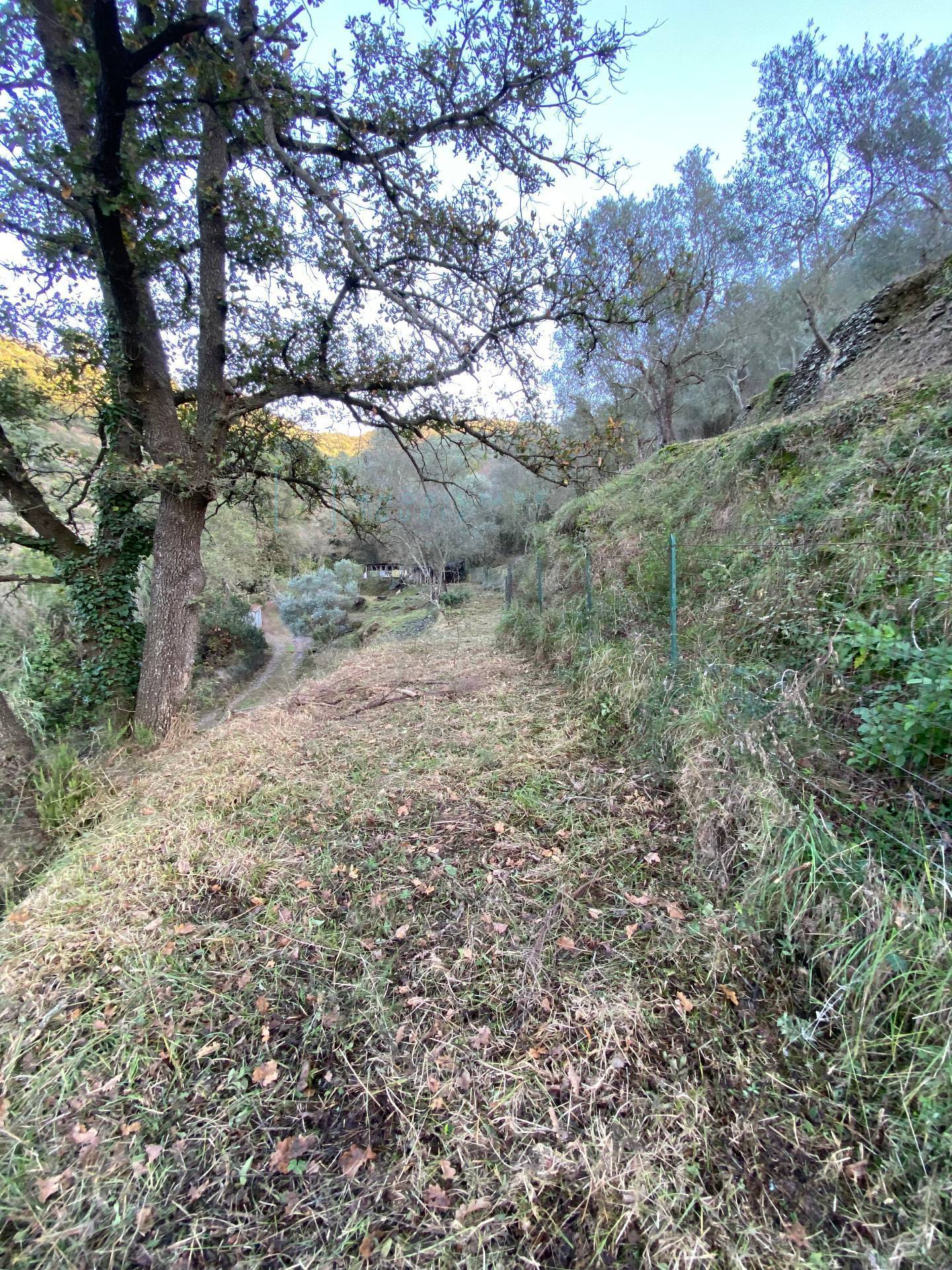 Immagine 31 di Terreno agricolo in vendita  in San Fedele a Albenga