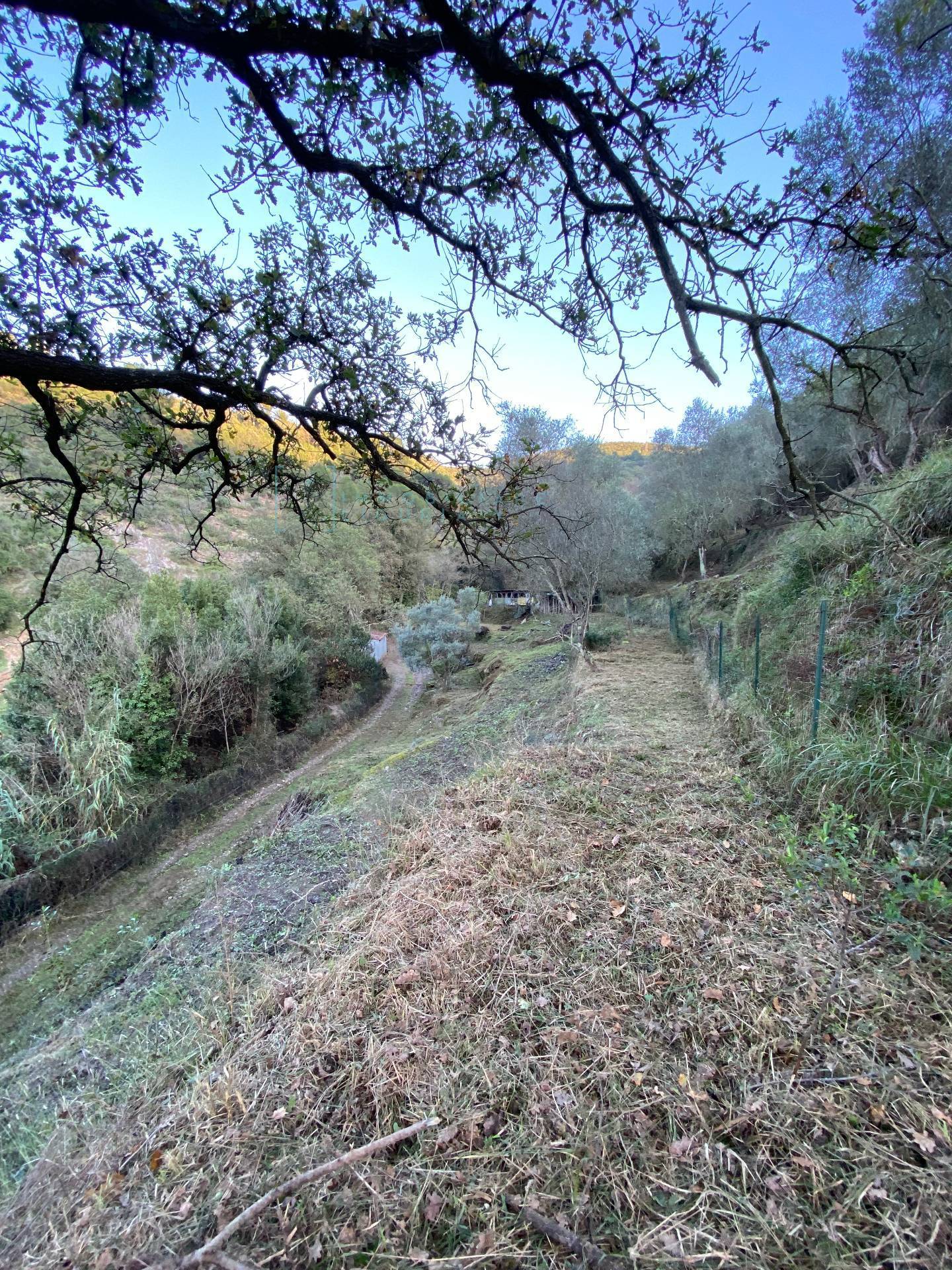 Immagine 32 di Terreno agricolo in vendita  in San Fedele a Albenga