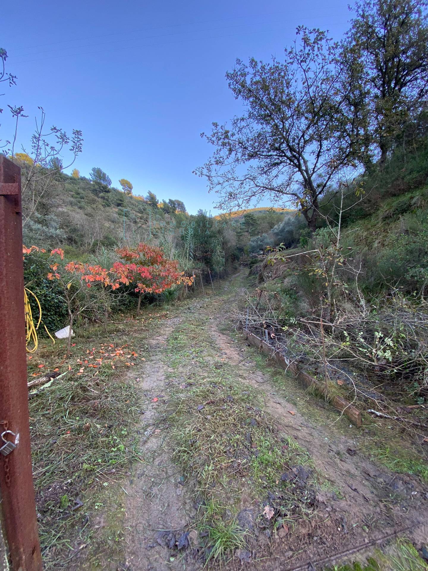 Immagine 42 di Terreno agricolo in vendita  in San Fedele a Albenga