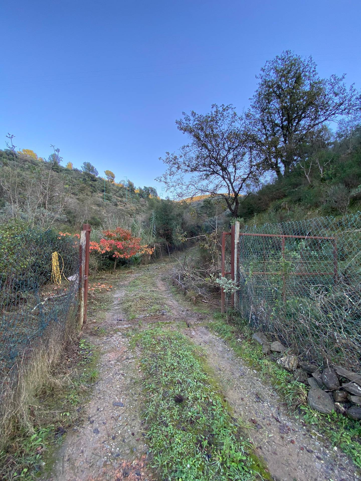 Immagine 43 di Terreno agricolo in vendita  in San Fedele a Albenga